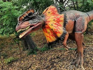 A fényképet készítette: Ildi Arucknechtné Bodó