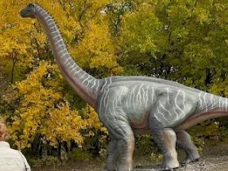 A fényképet készítette: Patai Dávid