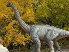 A fényképet készítette: Patai Dávid