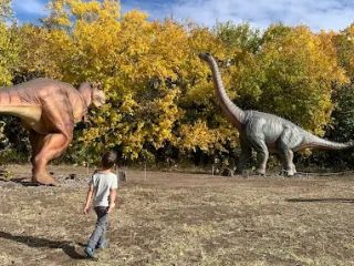 A fényképet készítette: Sára Berczi