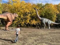 A fényképet készítette: Sára Berczi