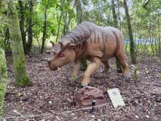 A fényképet készítette: Zsófia Kissné Márkus