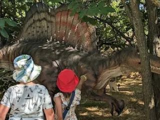 A fényképet készítette: Boglárka Kun