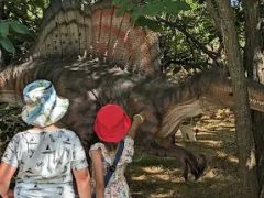 A fényképet készítette: Boglárka Kun